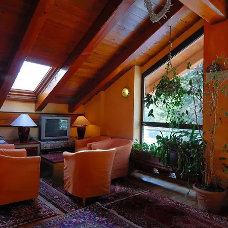 Hotel Bucaneve 3*