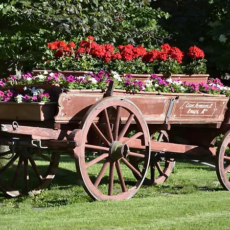 Bucaneve 3* 바르도네키아