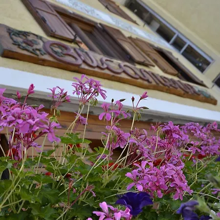 Bucaneve 3* 바르도네키아